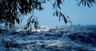 Niagara River above the
          escarpment, from Goat Island, ~1968.